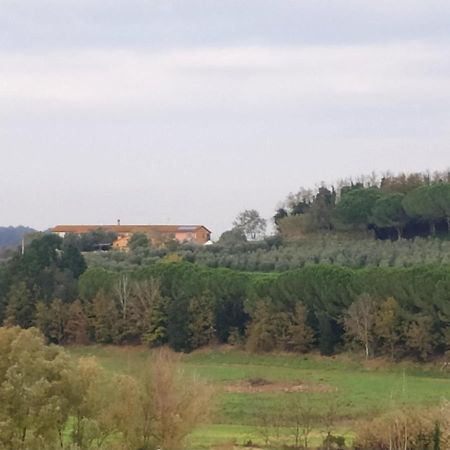 Agriturismo L'Isola Crespina Extérieur photo