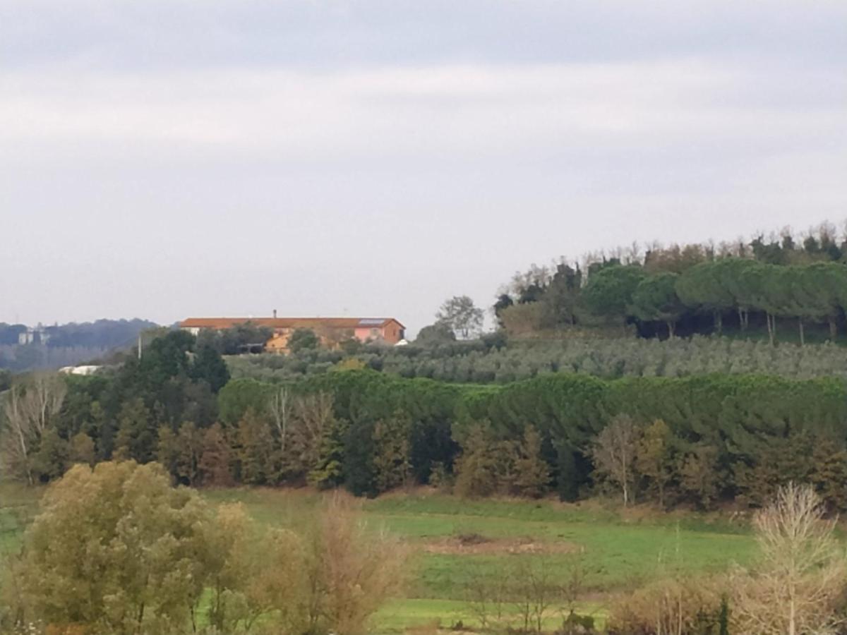 Agriturismo L'Isola Crespina Extérieur photo