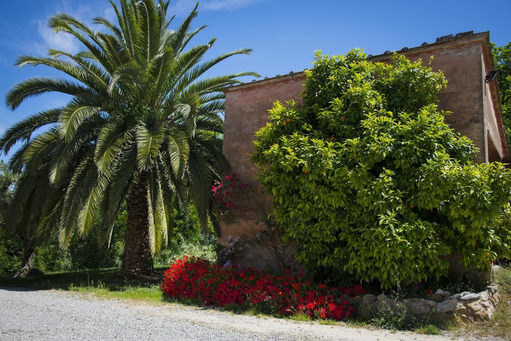 Agriturismo L'Isola Crespina Chambre photo