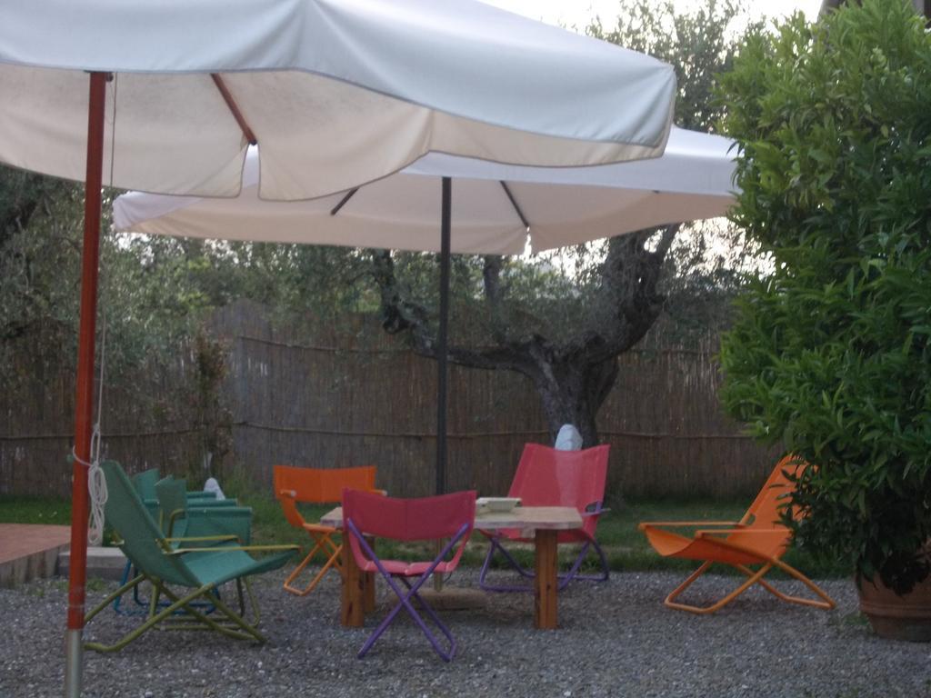Agriturismo L'Isola Crespina Chambre photo
