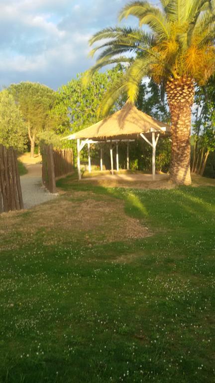 Agriturismo L'Isola Crespina Extérieur photo